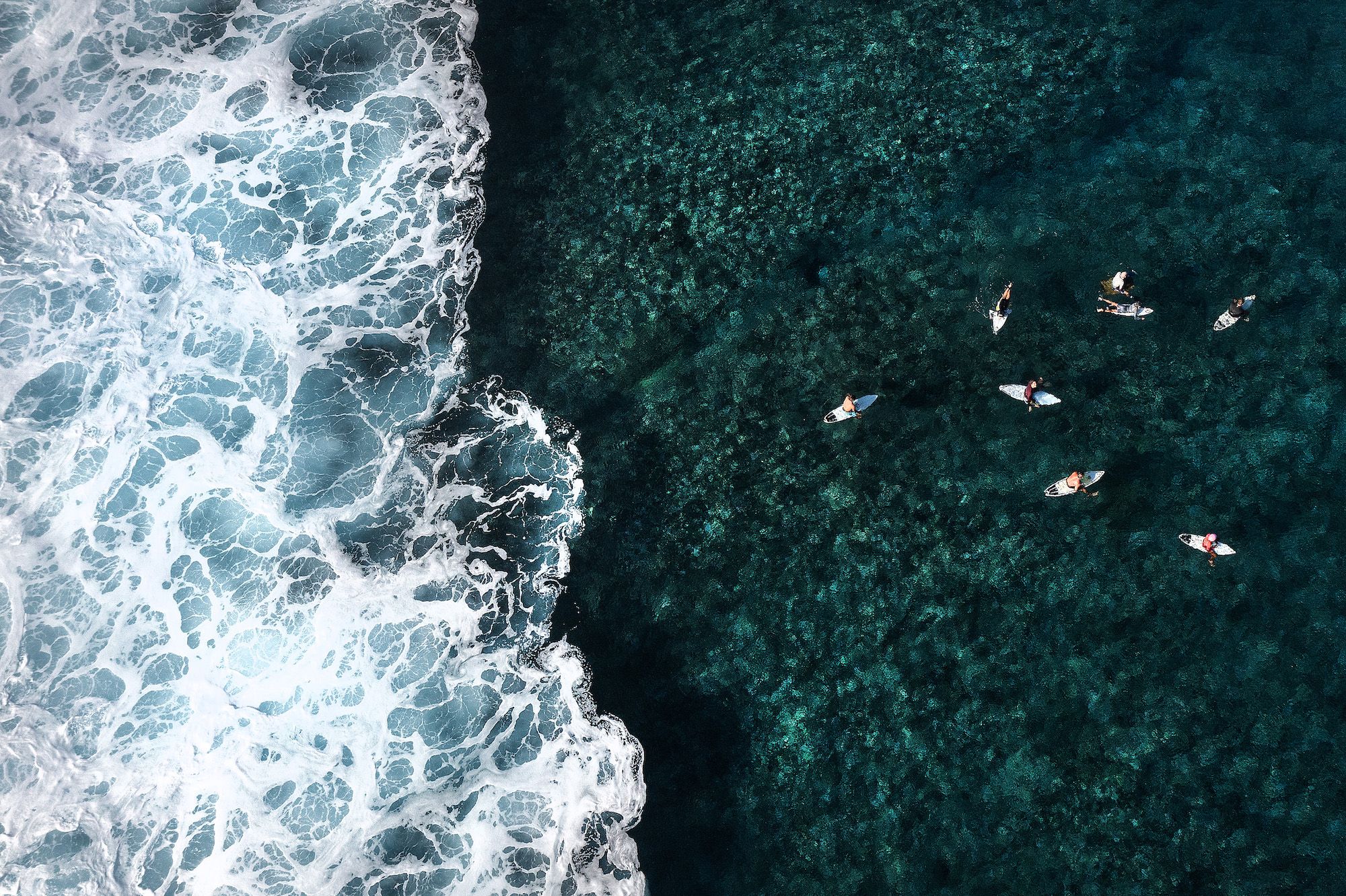 An aerial view of surfers.