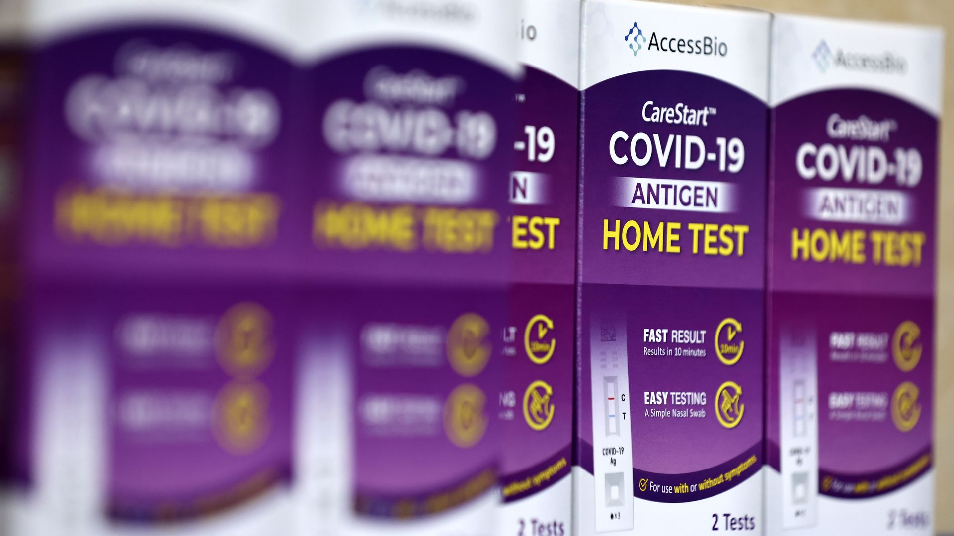 Photo of four purple antigen COVID at-home tests sitting on a shelf