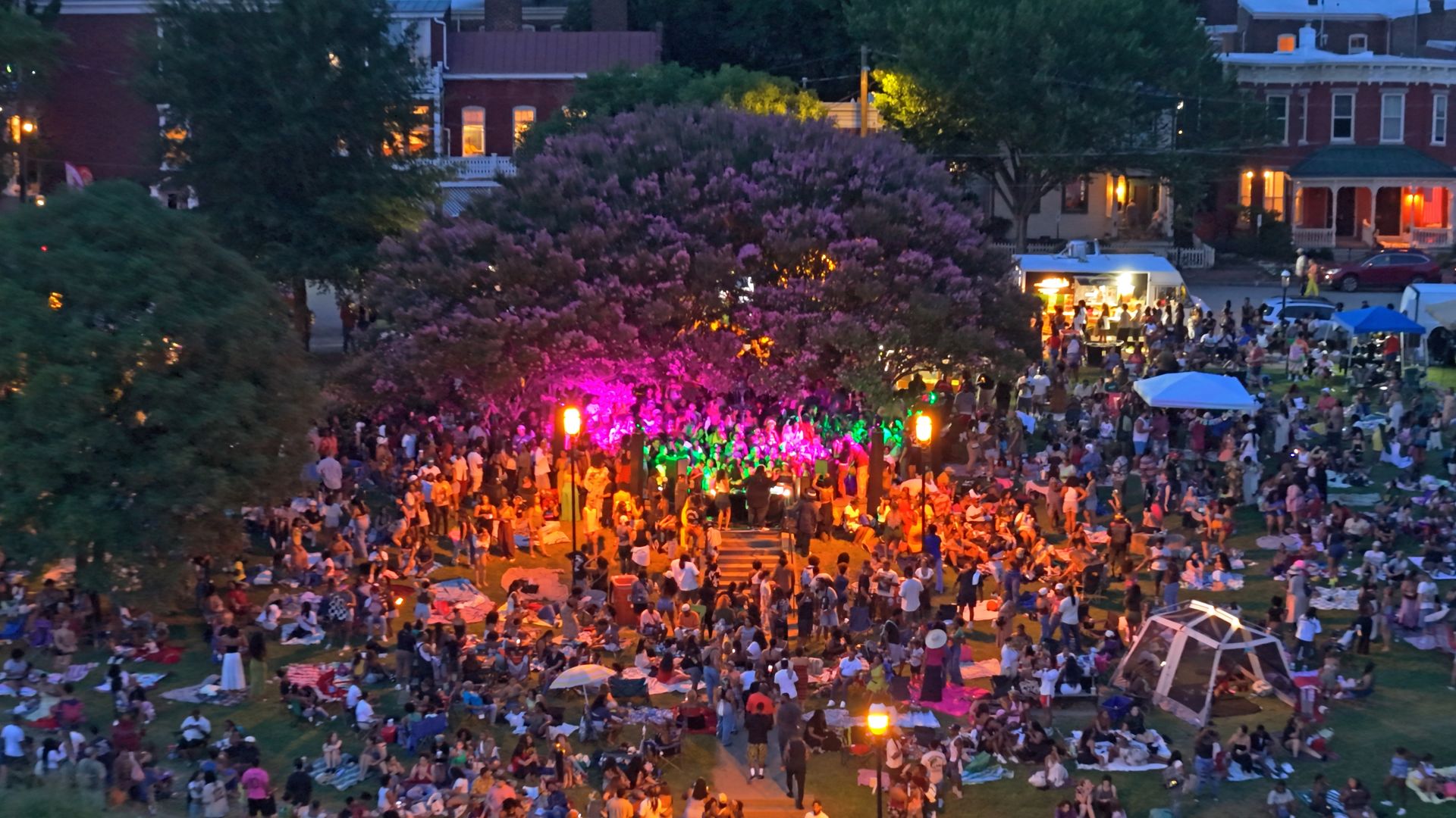 Evening festival in a crowded city park: hundreds sit on blankets as colorful stage lights glow pink and green near a large purple blooming tree, with food stalls and houses in the background.