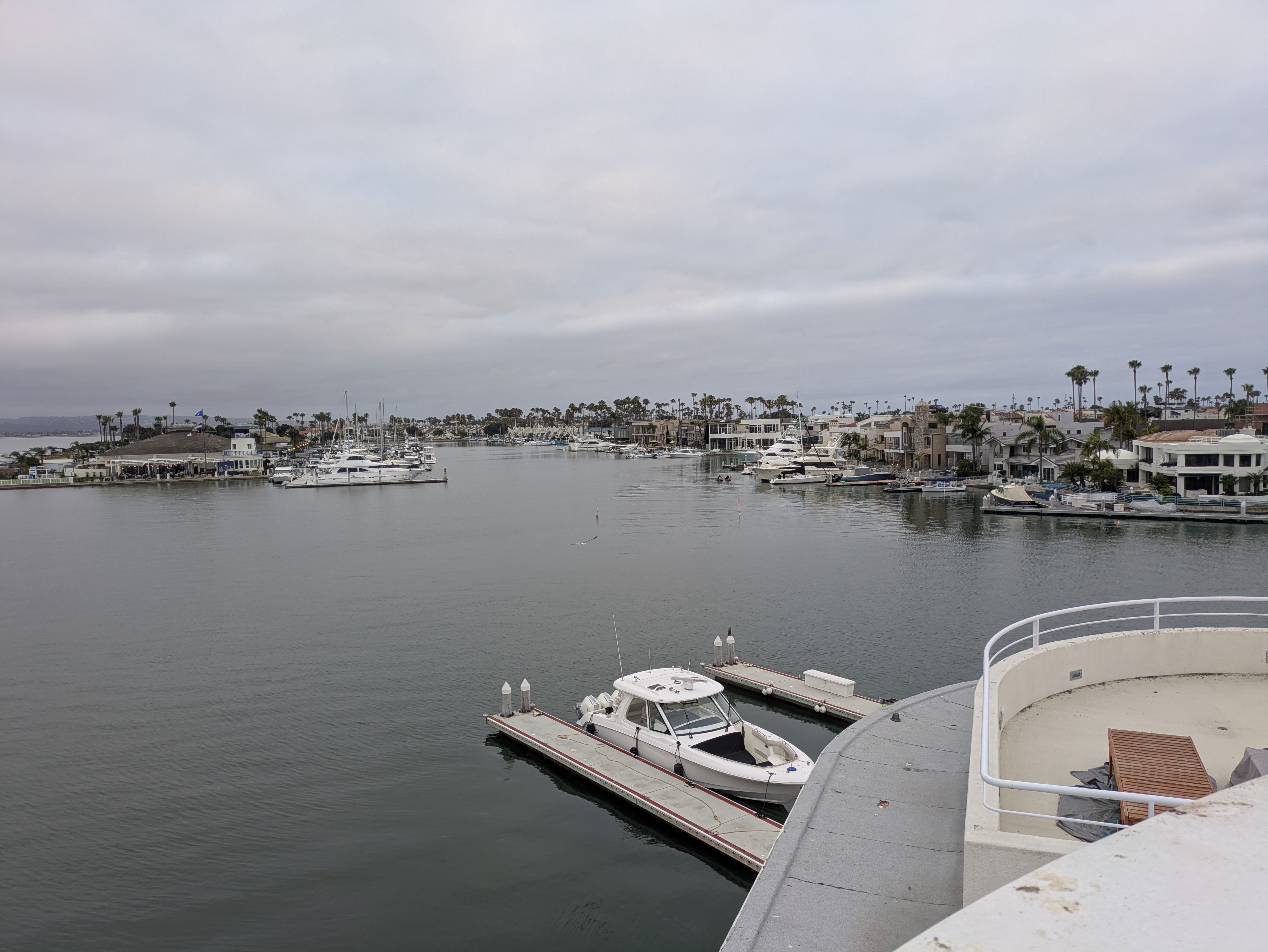 Overcast marina scene with numerous boats docked along calm water, palm-lined shore, and waterfront houses. A curved white railing is visible in the foreground.