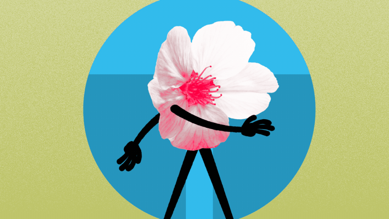 Cherry Blossom 10 Mile run in D.C.: Enter the December lottery - Axios  Washington D.C.