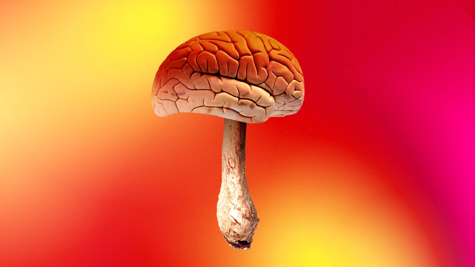 Illustration of a mushroom with the top made from a human brain