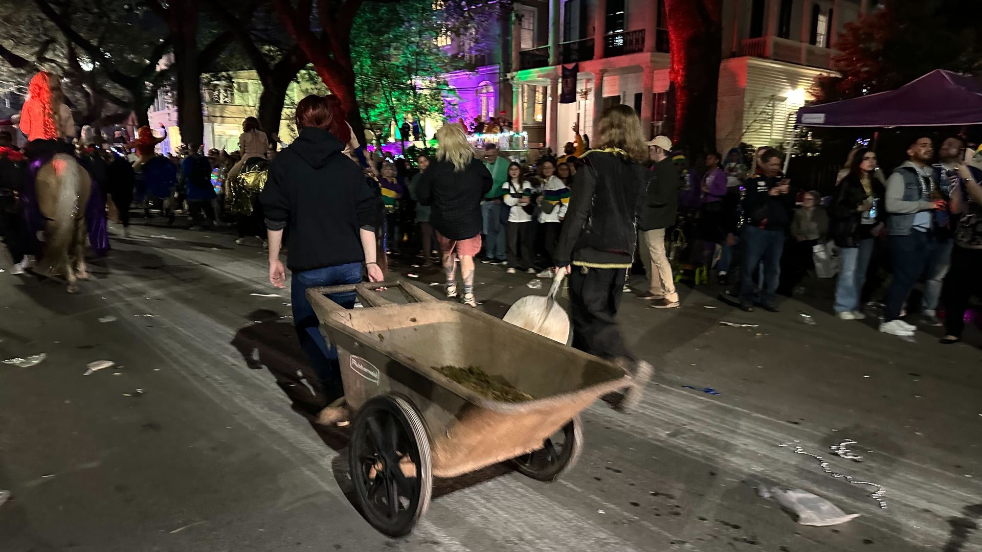 Photo shows horses walking on the parade route followed by a crew with a wheelbarrow and shovels.