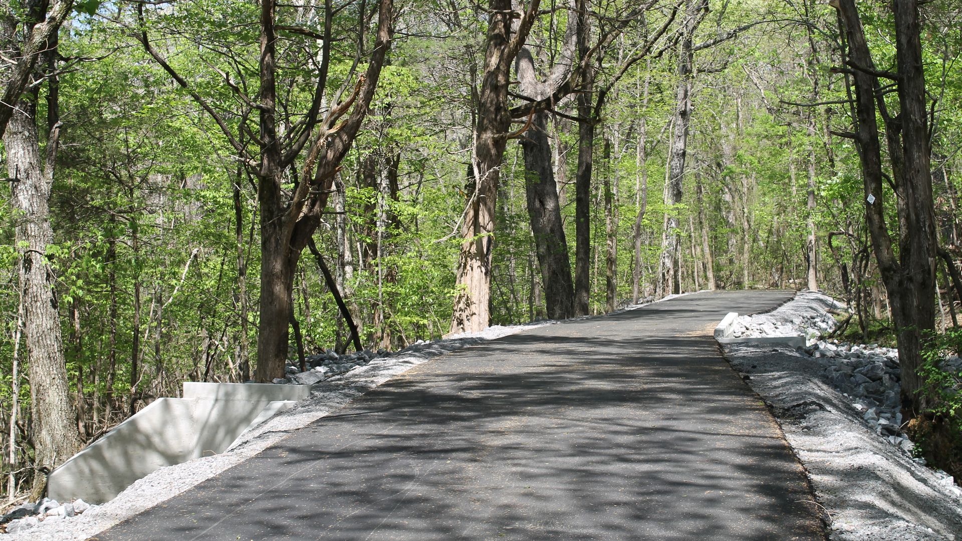 A paved forest road winds through a dense, sun-dappled woodland; concrete barriers line both sides with gravel shoulders, as trees with green leaves fill the scene and the road curves to the right.