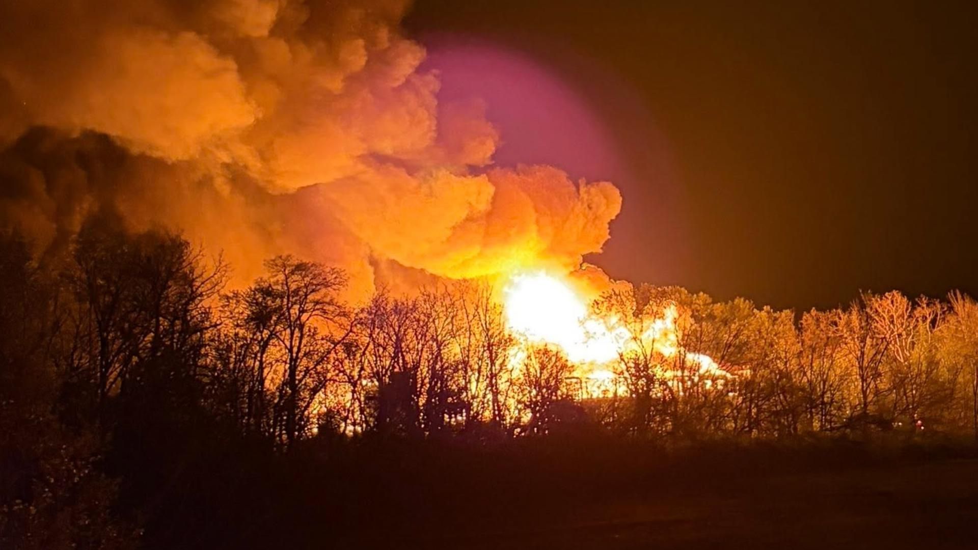 Nighttime wildfire behind silhouetted trees; bright orange flames and thick smoke billow across the dark sky.