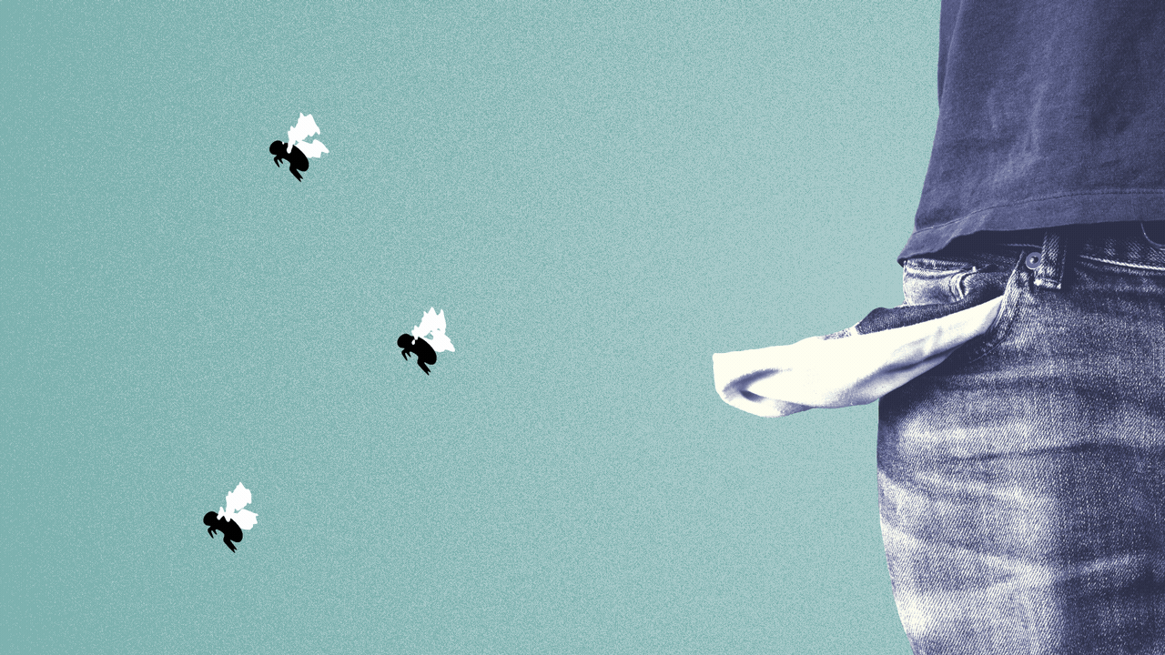 Animated illustration of flies flying out of a person's empty jeans pocket, which has been turned inside out.