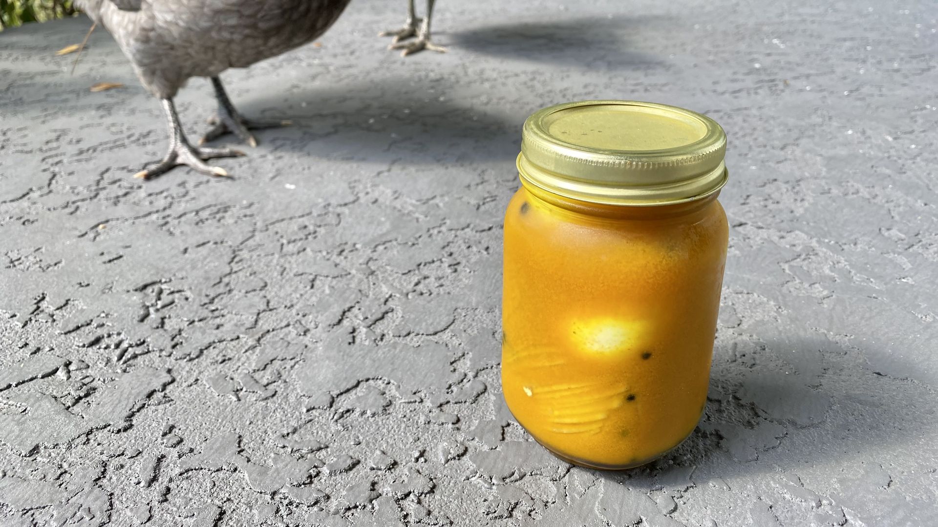 Eggs in a jar with a chicken standing nearby.