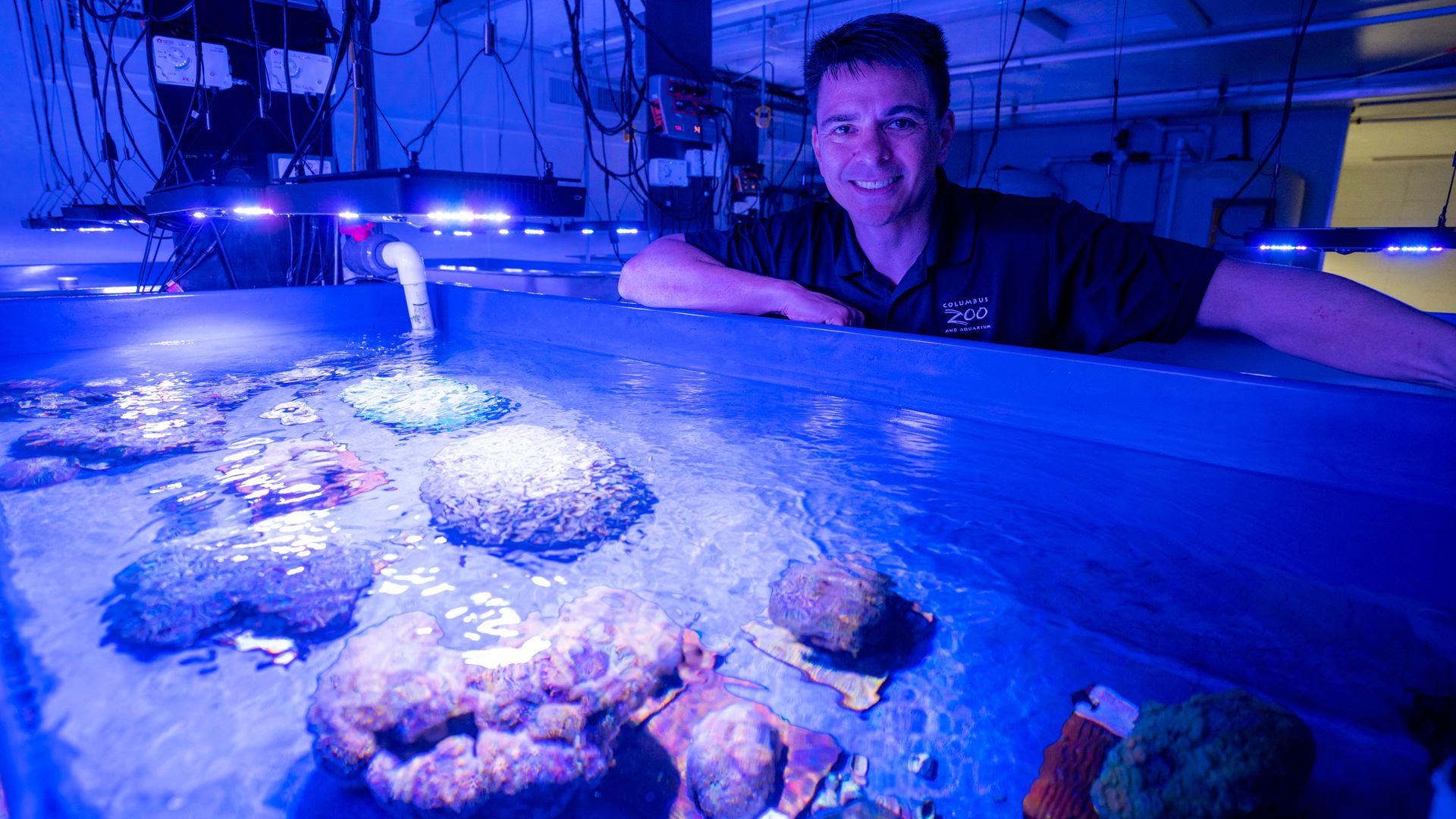 Ramon Villaverde stands above a large fiberglass tub full of coral specimens