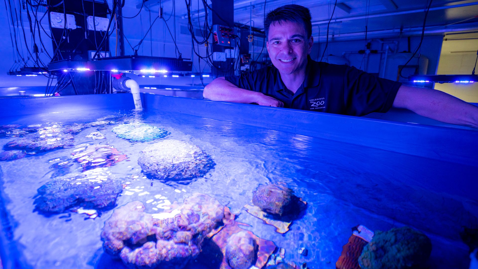 Ramon Villaverde stands above a large fiberglass tub full of coral specimens