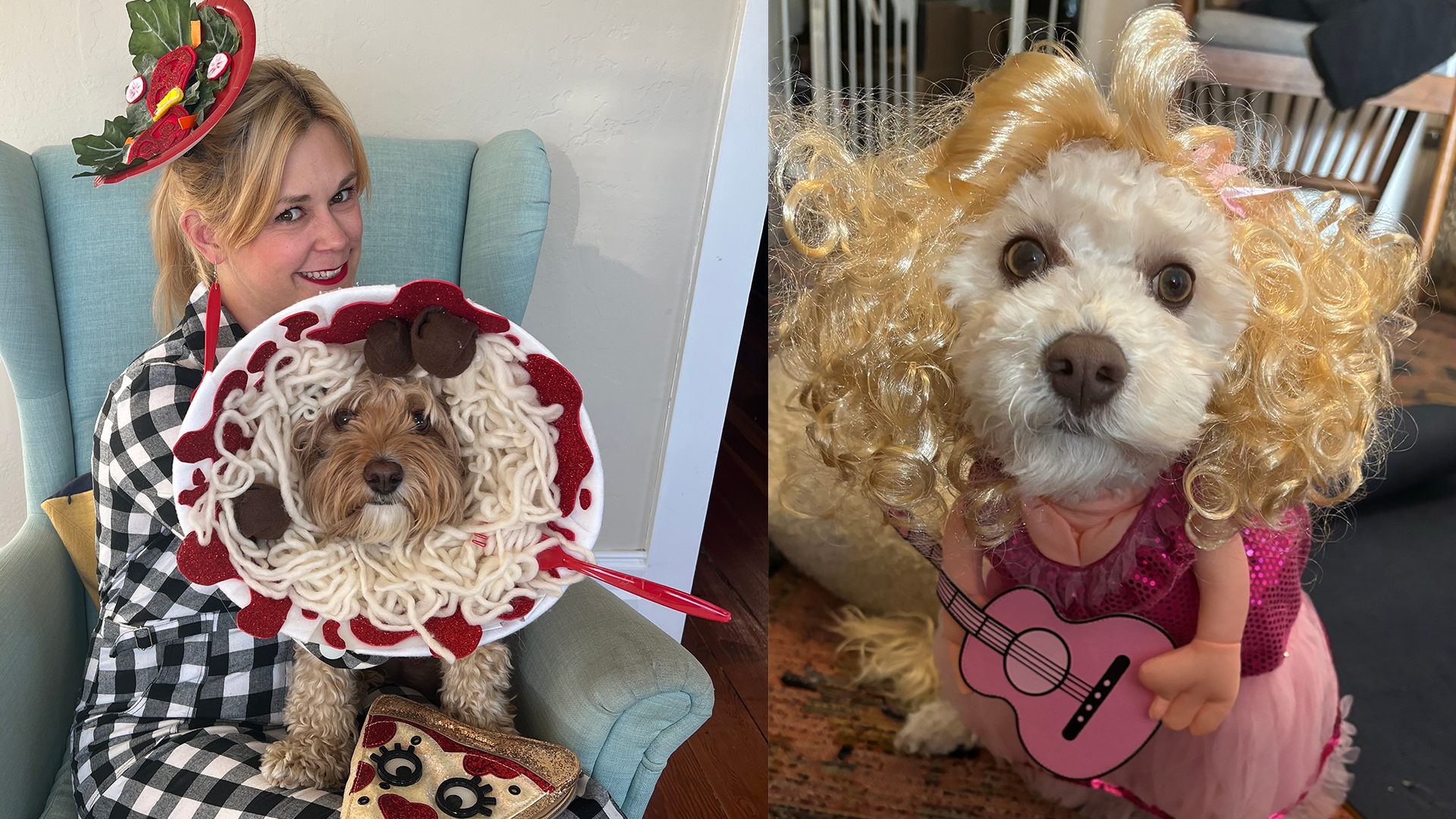 A dog dressed as a bowl of spaghetti for Halloween at left, and a dog dressed as Dolly Parton for Halloween at right. 