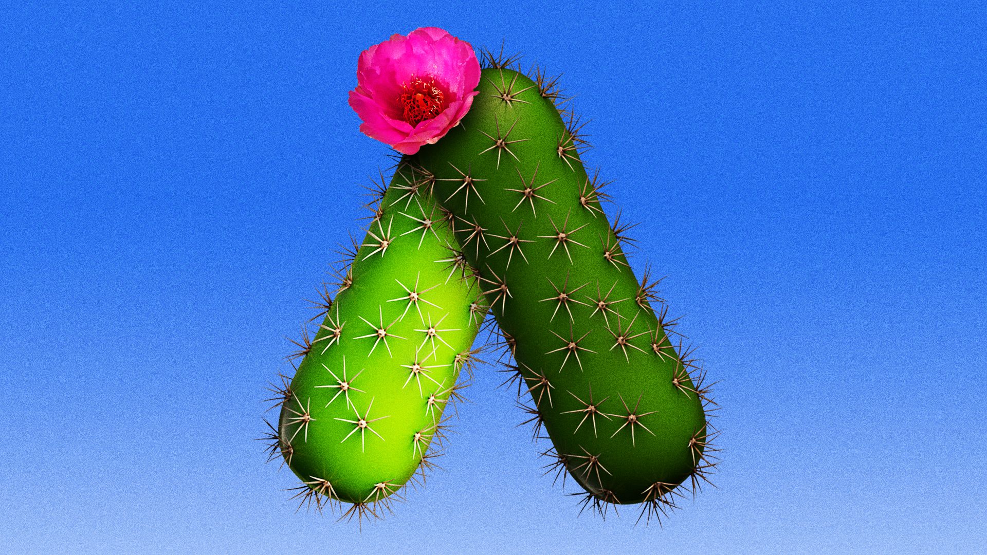 Illustration of the Axios logo made from a cactus.