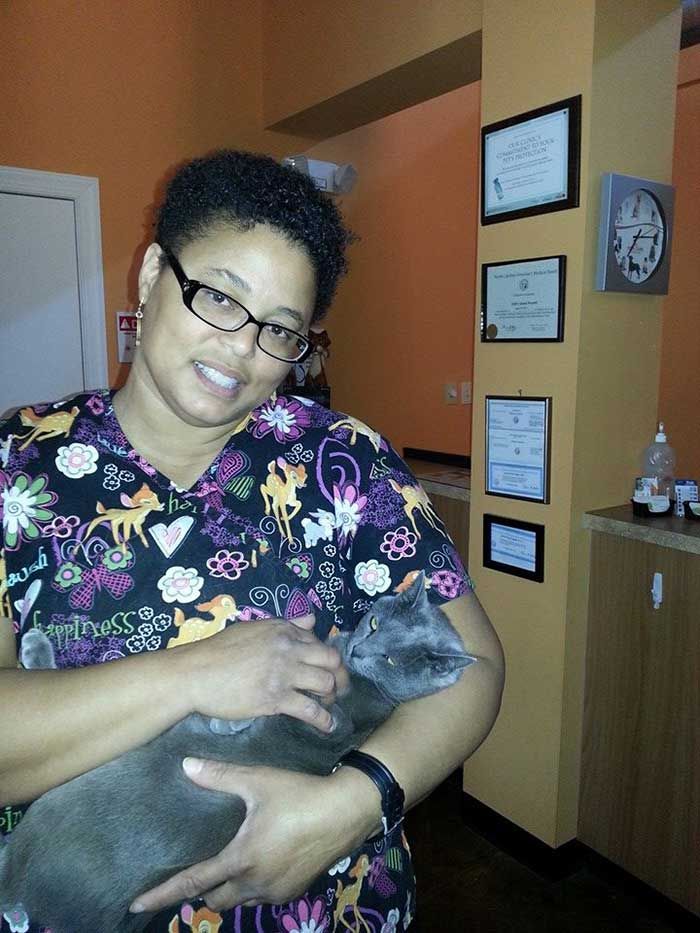 Photo by NoDa Animal Hospital via Facebook