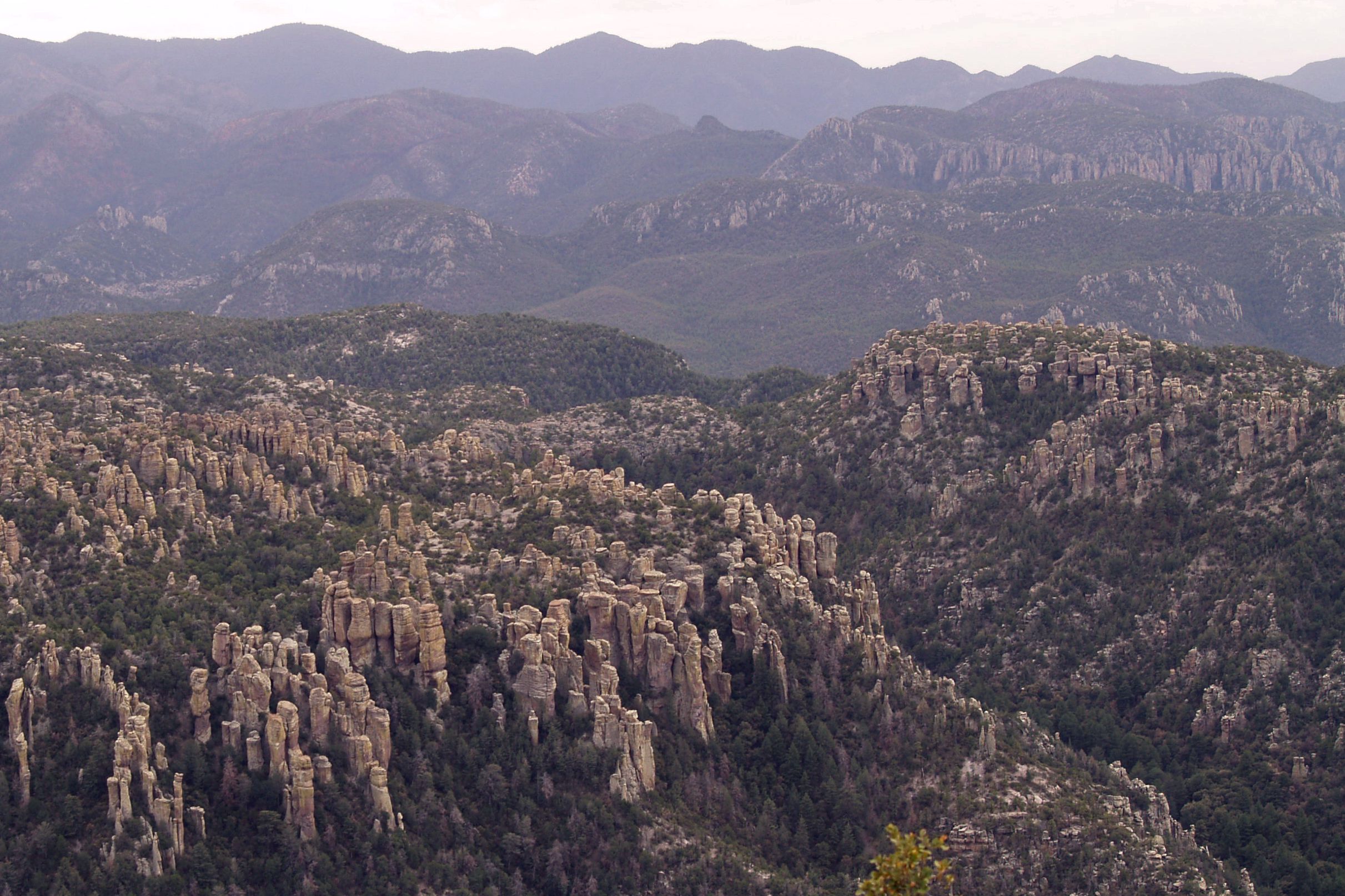 Chiricahua National Park. Photo: Ron Kerbo/National Parks Service via AP
