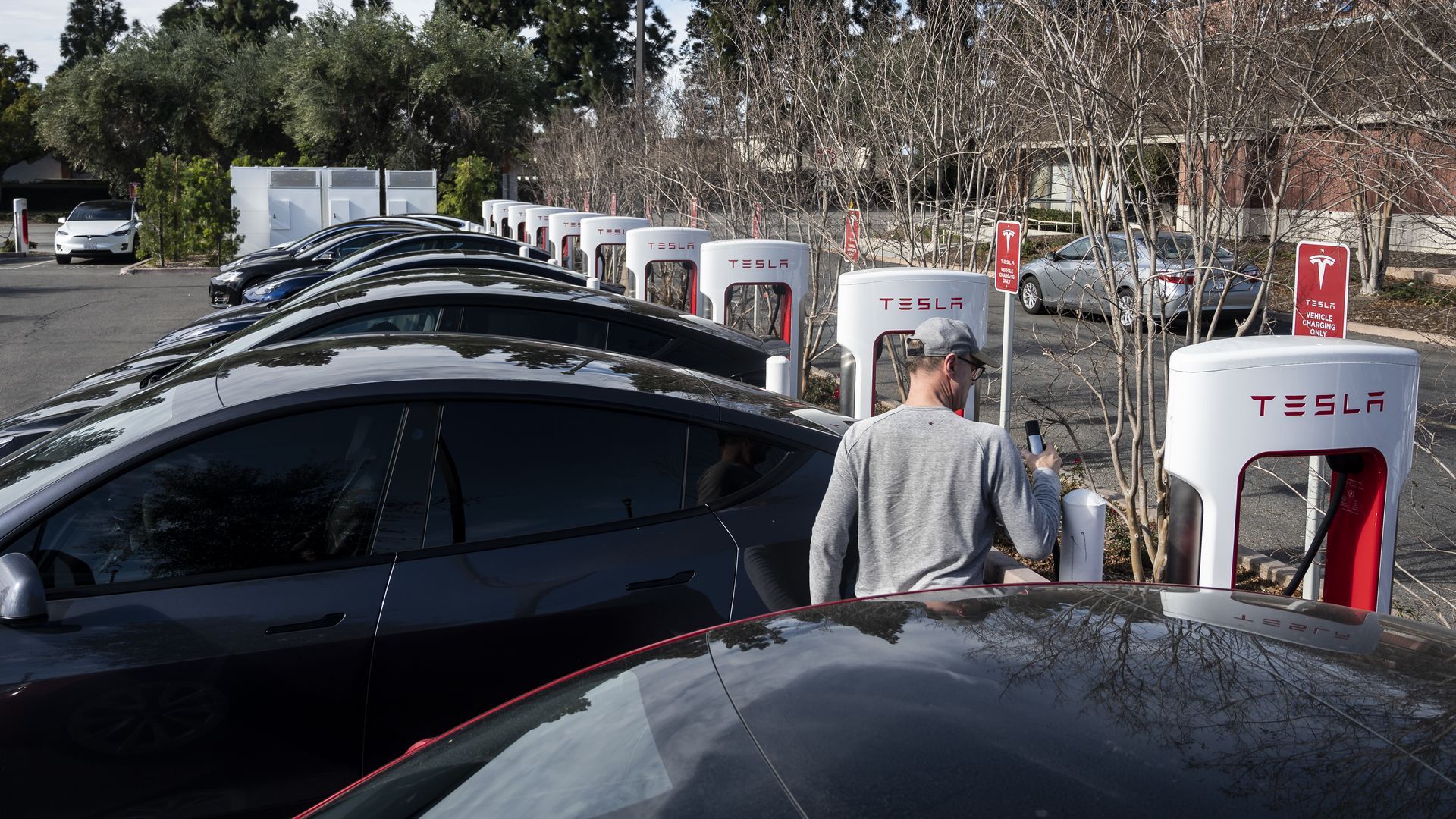 Tesla cars lined up at charging stations.