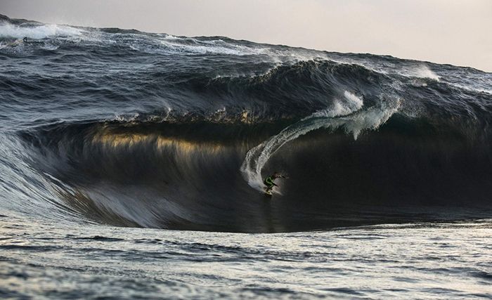 surfrider-organization