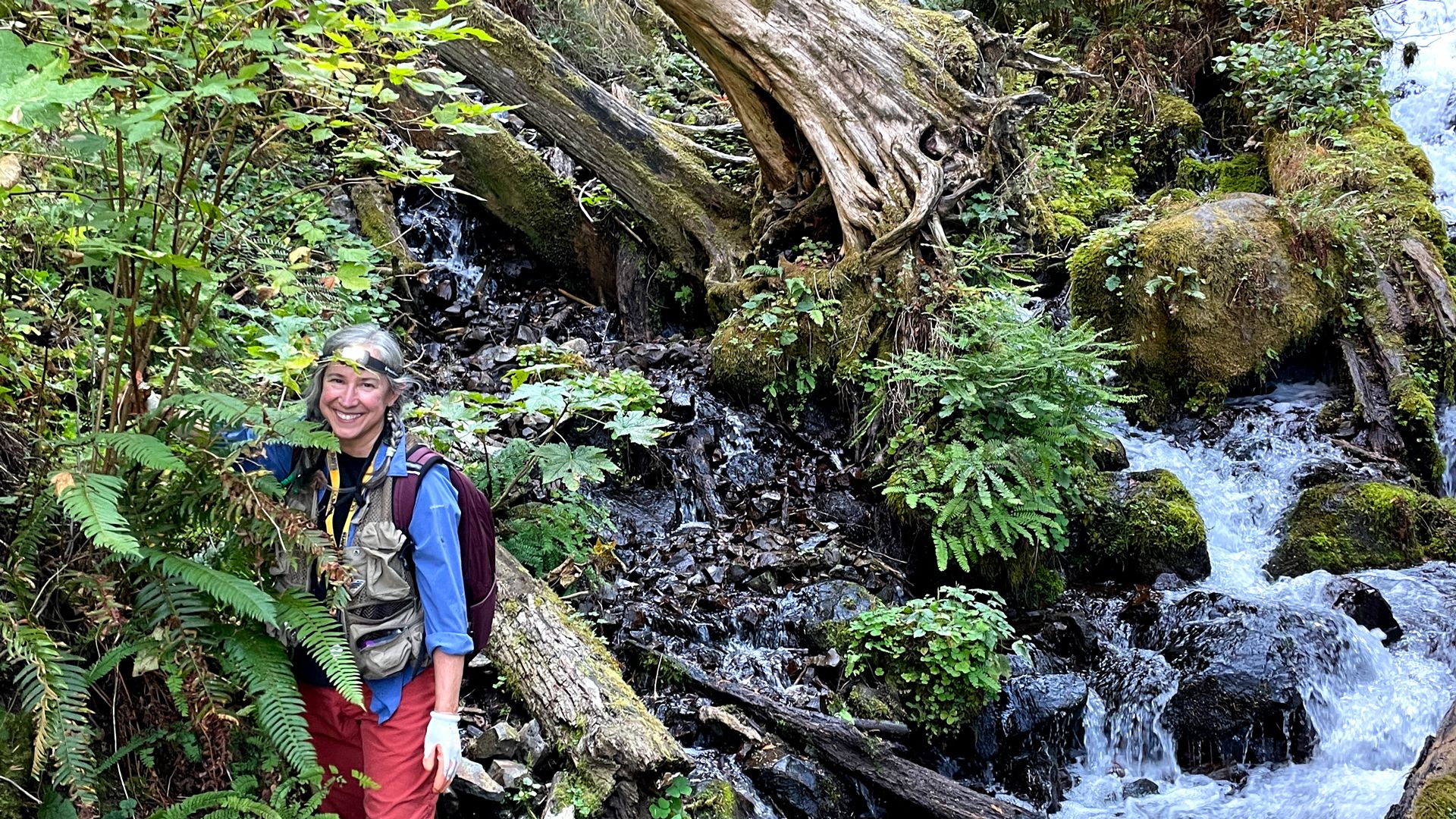 A woman wearing a headlamp, gloves and outdoor clothing stands in greenery next to a tumbling mountain stream.