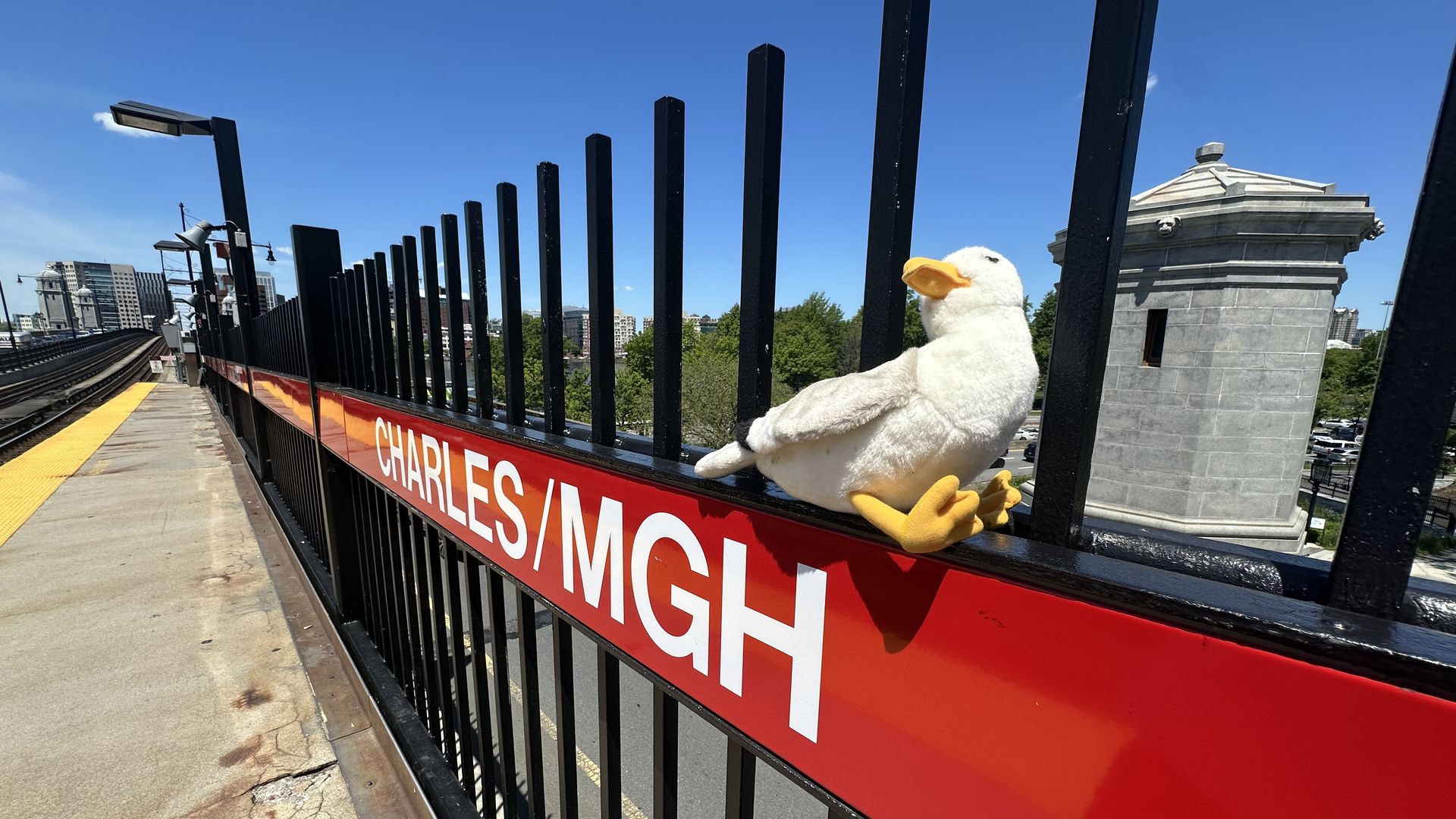 Townie, Axios Boston's plush gullscott, sits on the black fence above the red-and-white Charles/MGH sign at the T stop above Charles Circle in Boston.