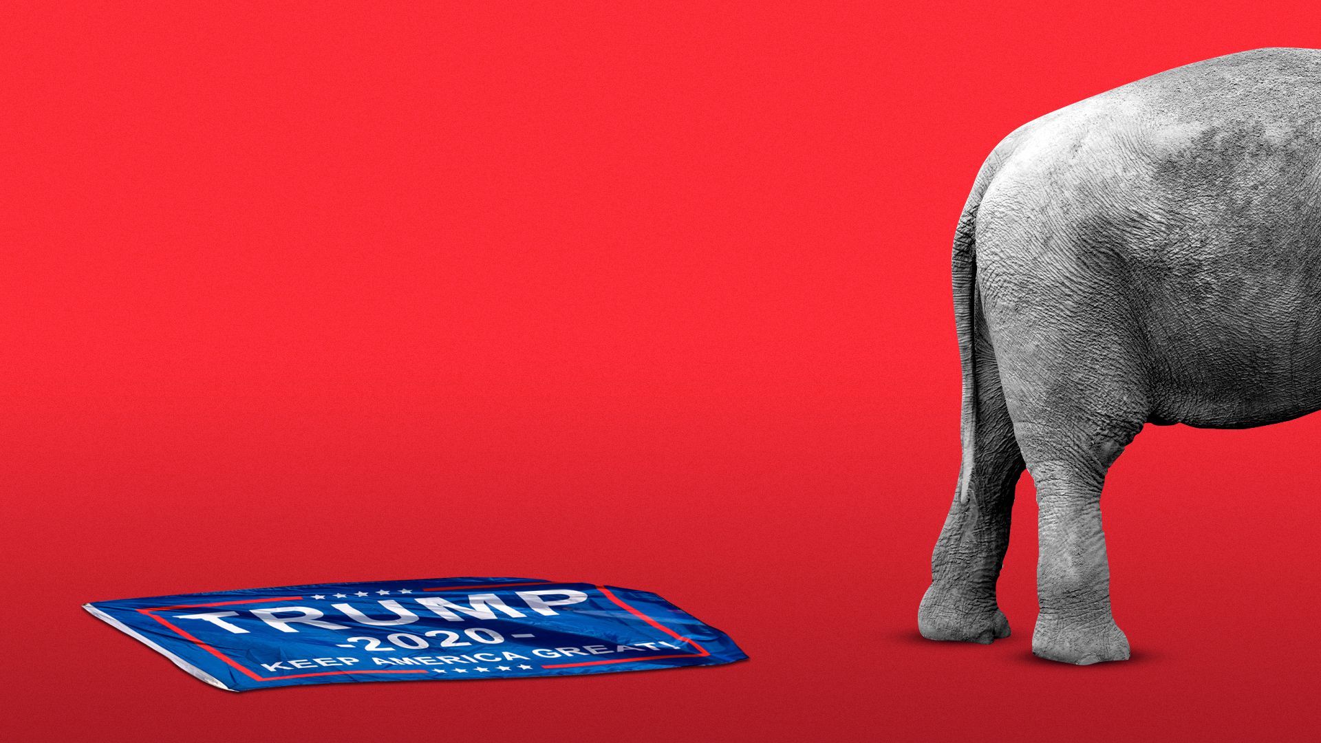 Illustration of an elephant walking away from a Trump flag that is crumpled on the ground.  