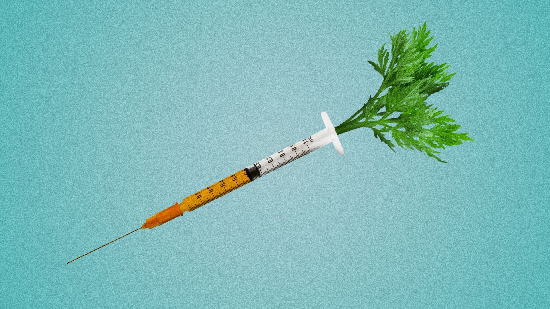 Illustration of a syringe as a carrot.