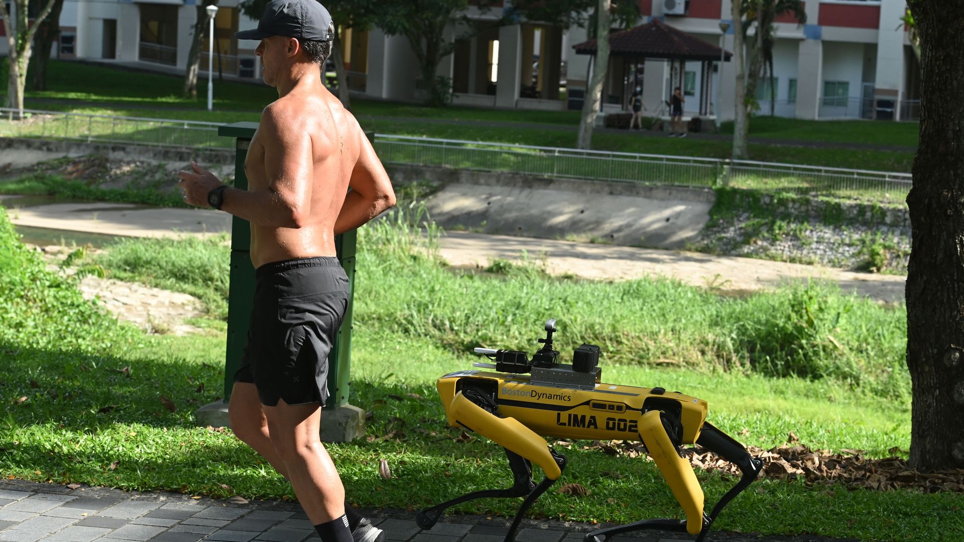 Photo of a robot designed to promote social distancing in Singapore