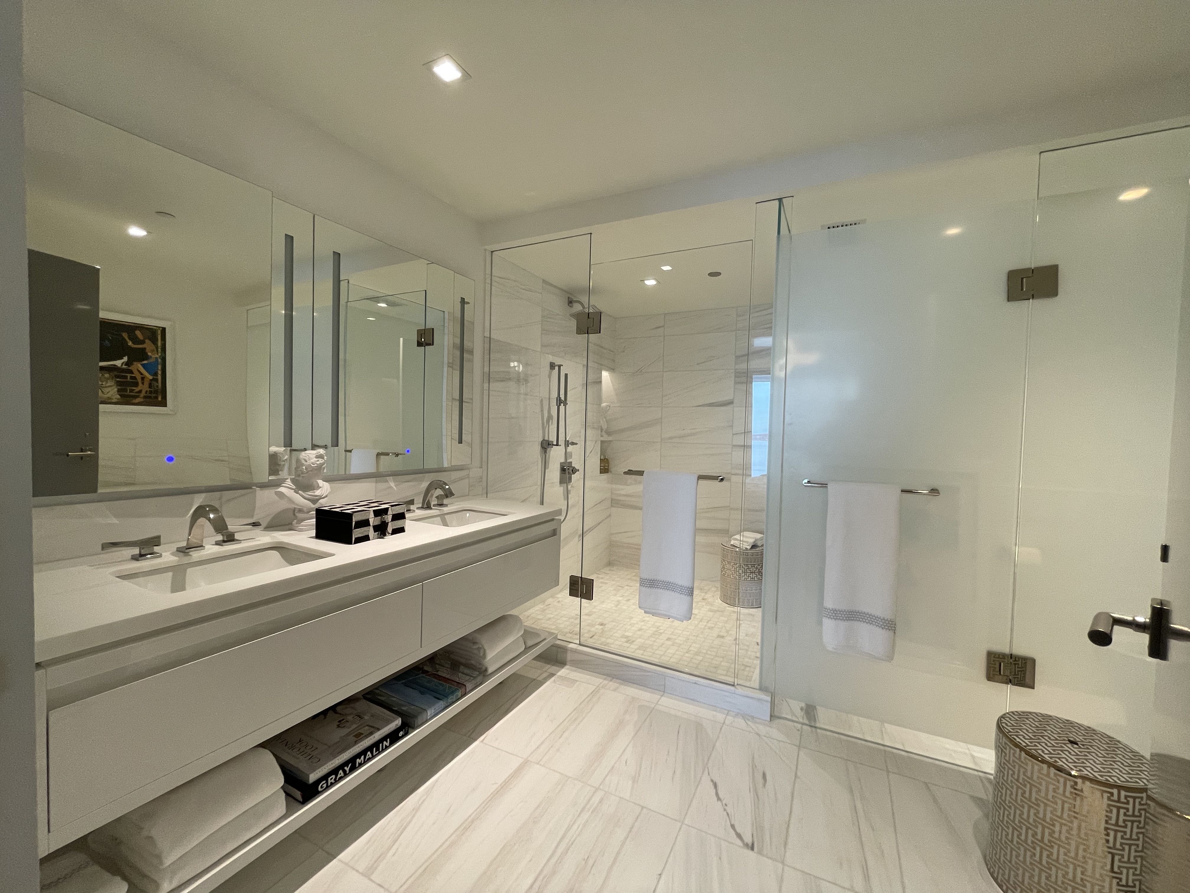 The master bath has a large counter, a shower, an obscured toilet area. Not pictured is a bathtub to the right.
