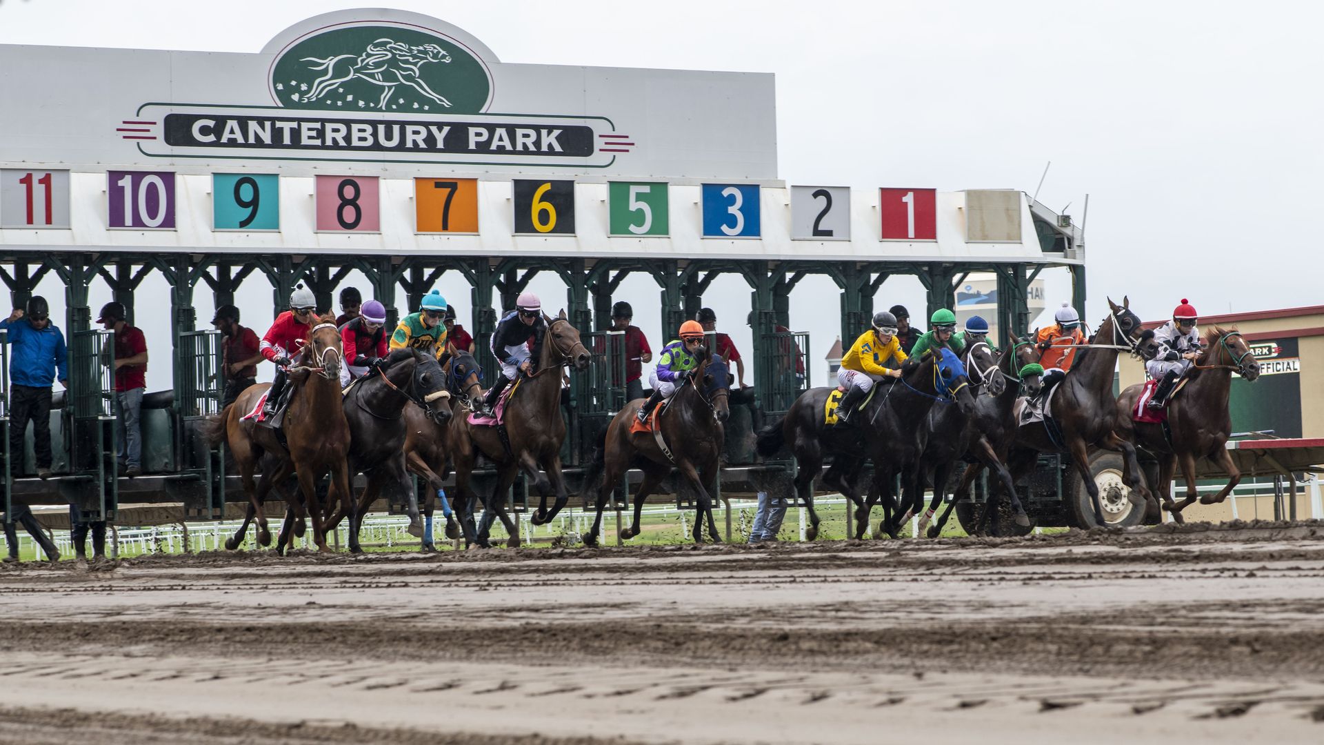 Horses come out of a starting gate 