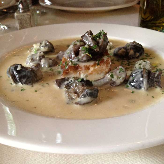 fig-tree-charlotte-escargot