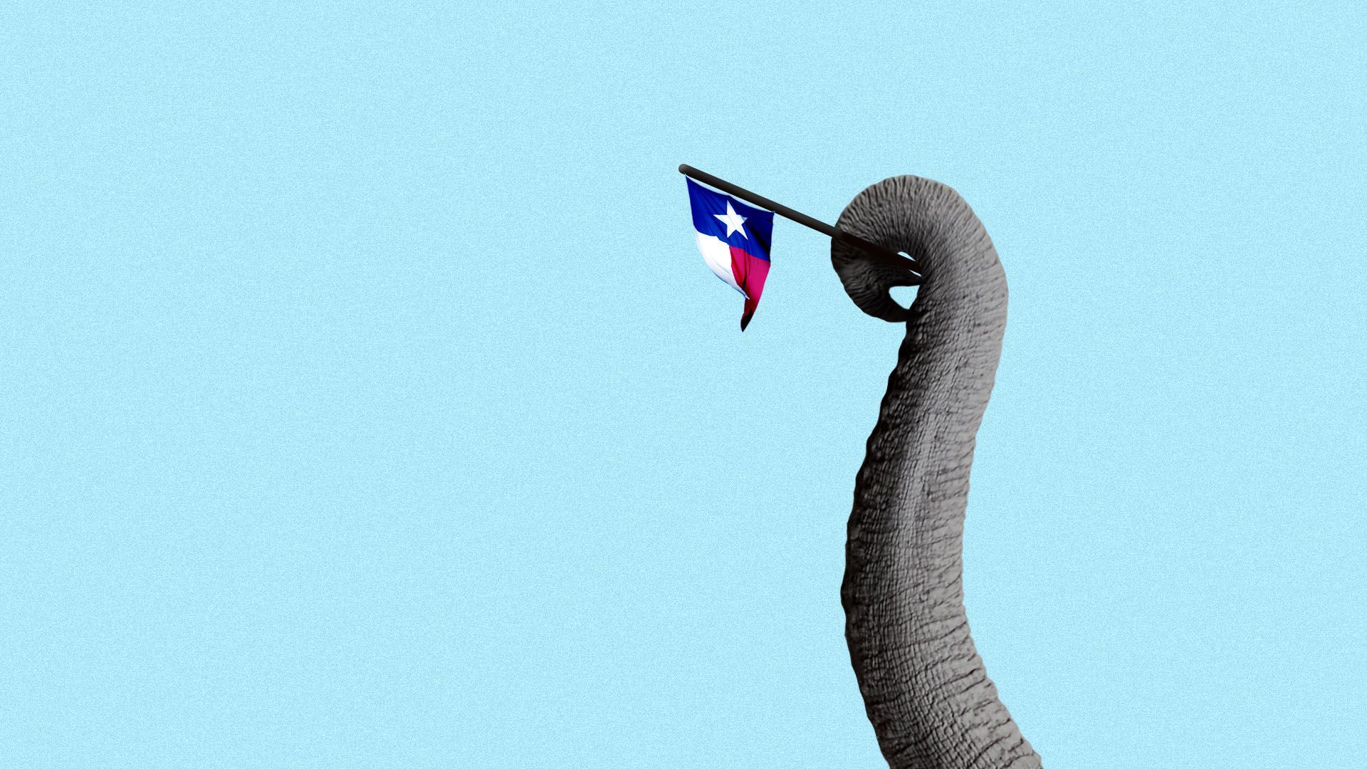 Illustration of an elephant trunk holding a small Texas state flag.