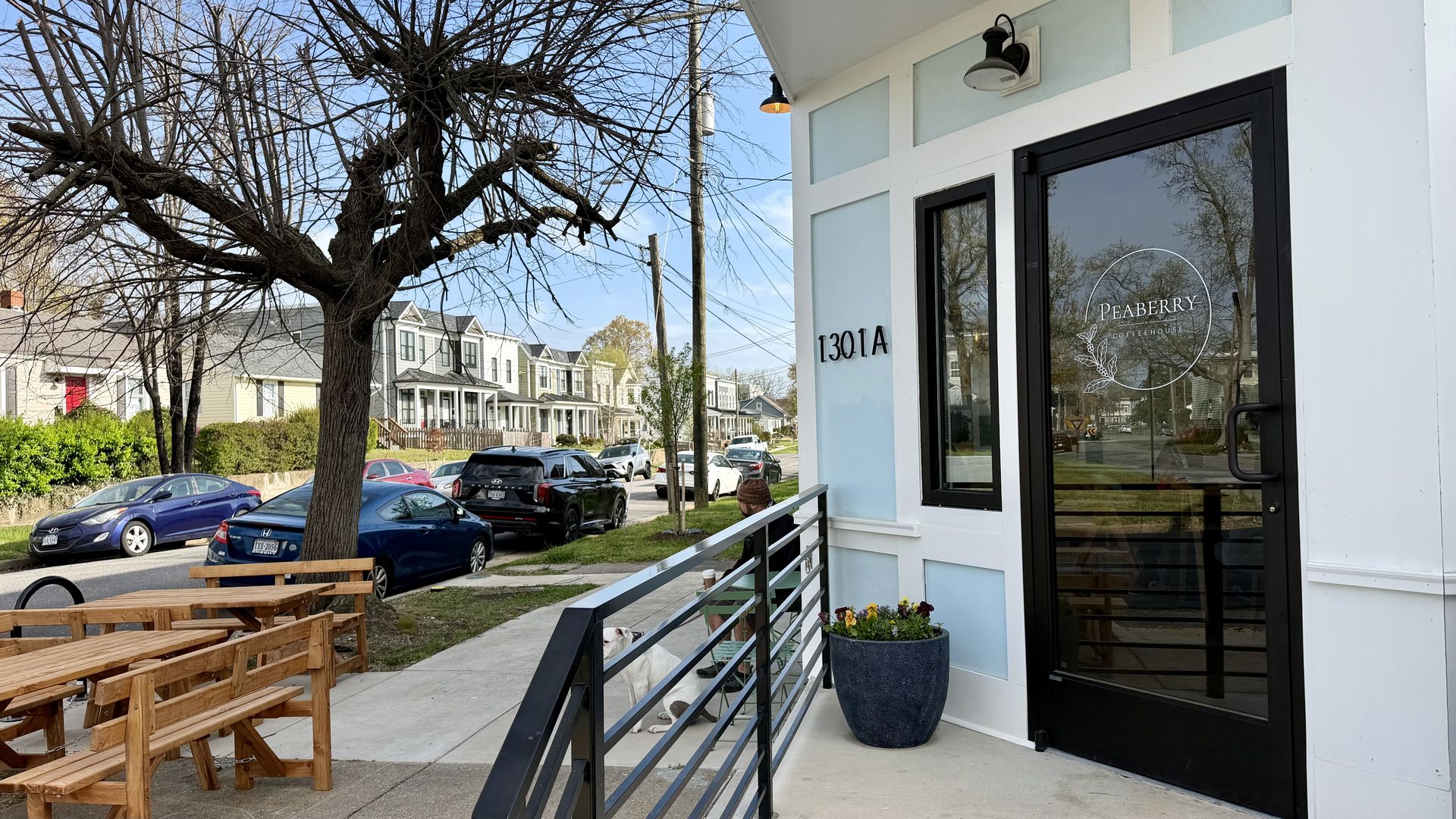 View of a light blue storefront with a glass door reading Peaberry Coffeehouse, 1301A. A wooden railing with a flower pot by the sidewalk; a leafless tree, parked cars, and row houses line the street; a white dog sits by the railing.