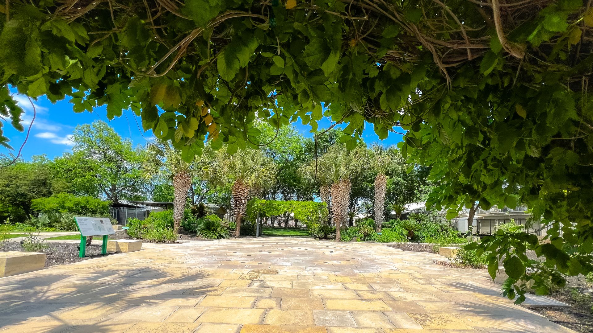 A view of a park, framed by a lush, green ivy. 