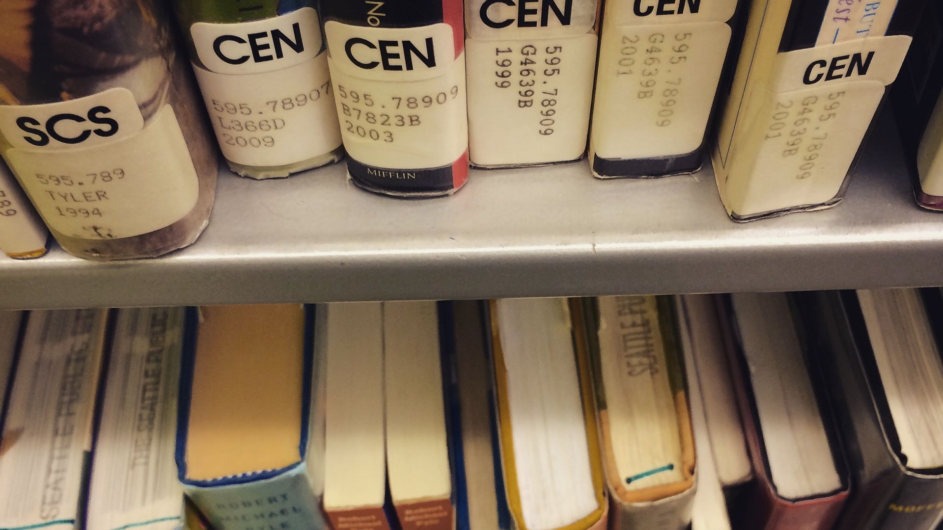 Books on a library shelf. 