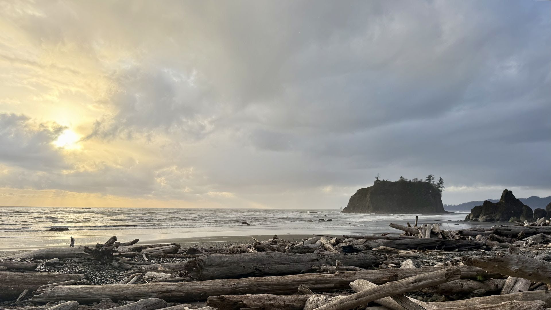 Overcast coastal scene with a pale sun breaking through left clouds, calm sea, a rocky island with pines on the right, and driftwood strewn across the foreground beach.