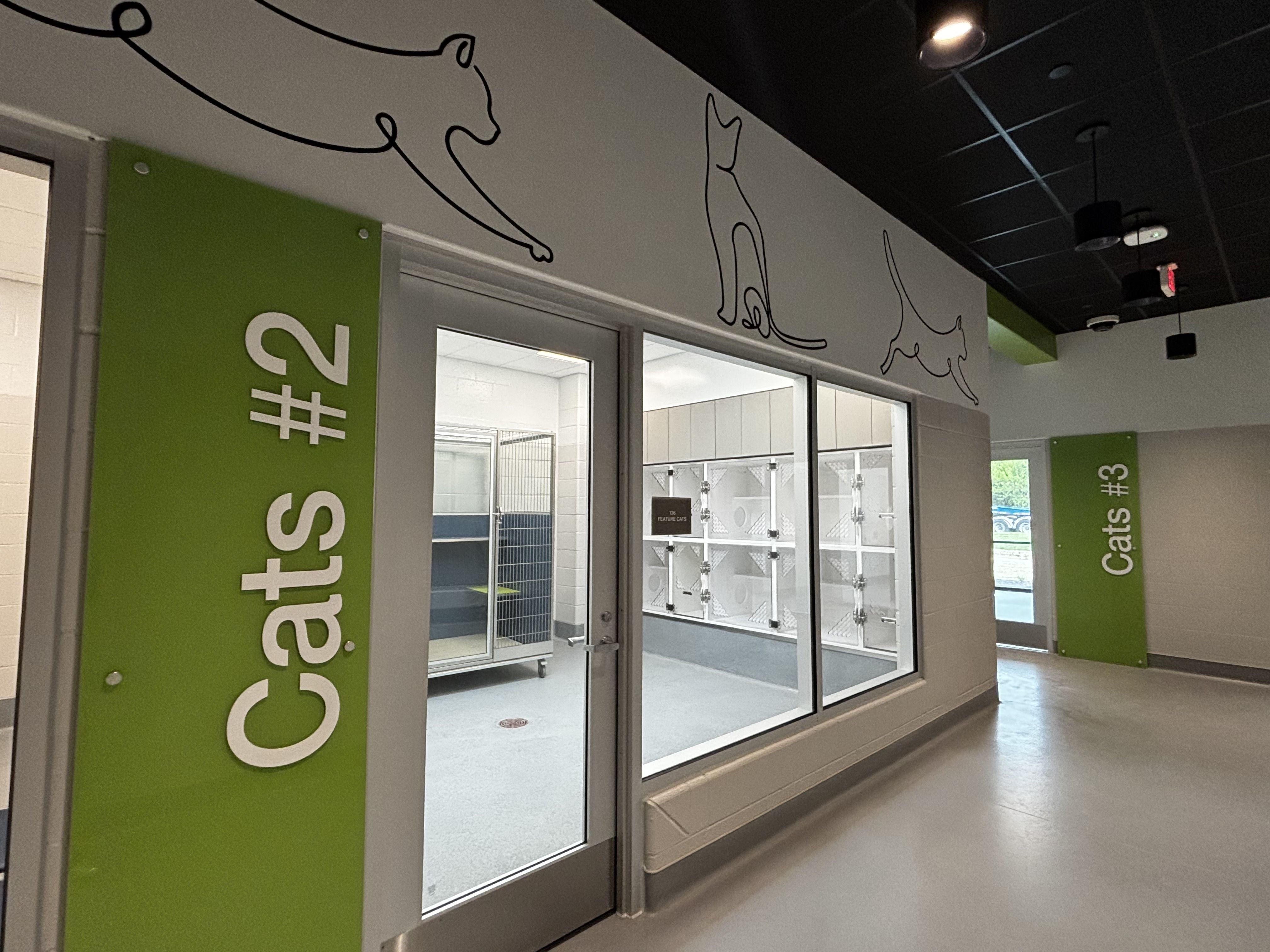 Interior hallway with bright green vertical panels and black cat outlines on a white wall above glass doors; a dark ceiling with track lights and rooms visible beyond.