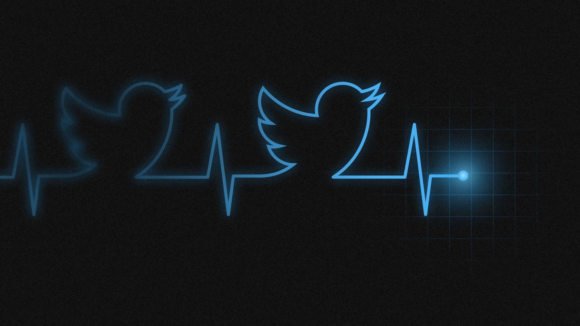 An illustration of the Twitter bird as a heart monitor. 