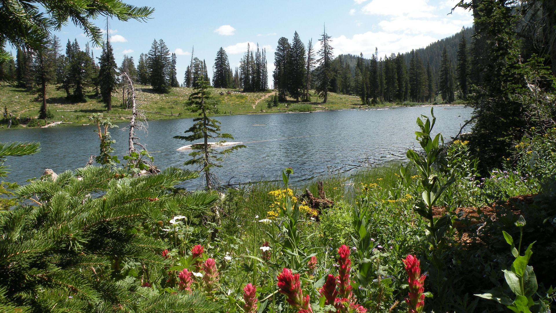 A mountain lake surrounded by peaks and wildflowers