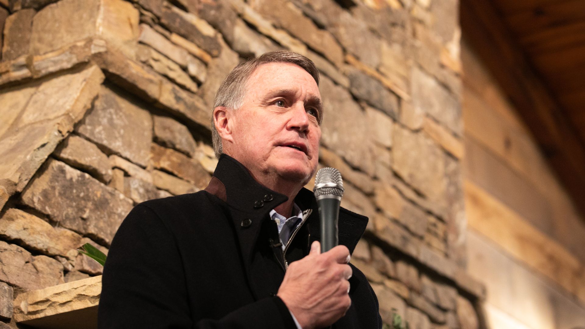 David Perdue