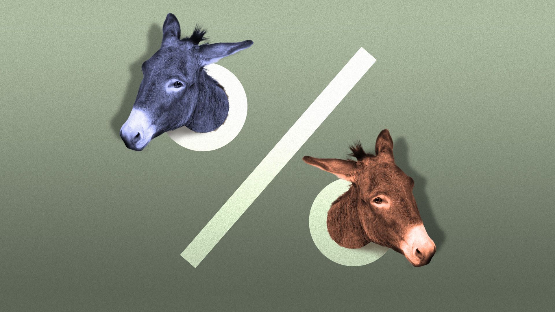 Illustration of a percentage sign with two donkey heads sticking out of each circle