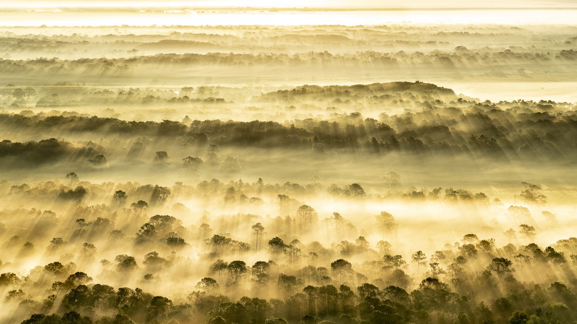 An aerial view of Florida's northern Everglades at dusk.