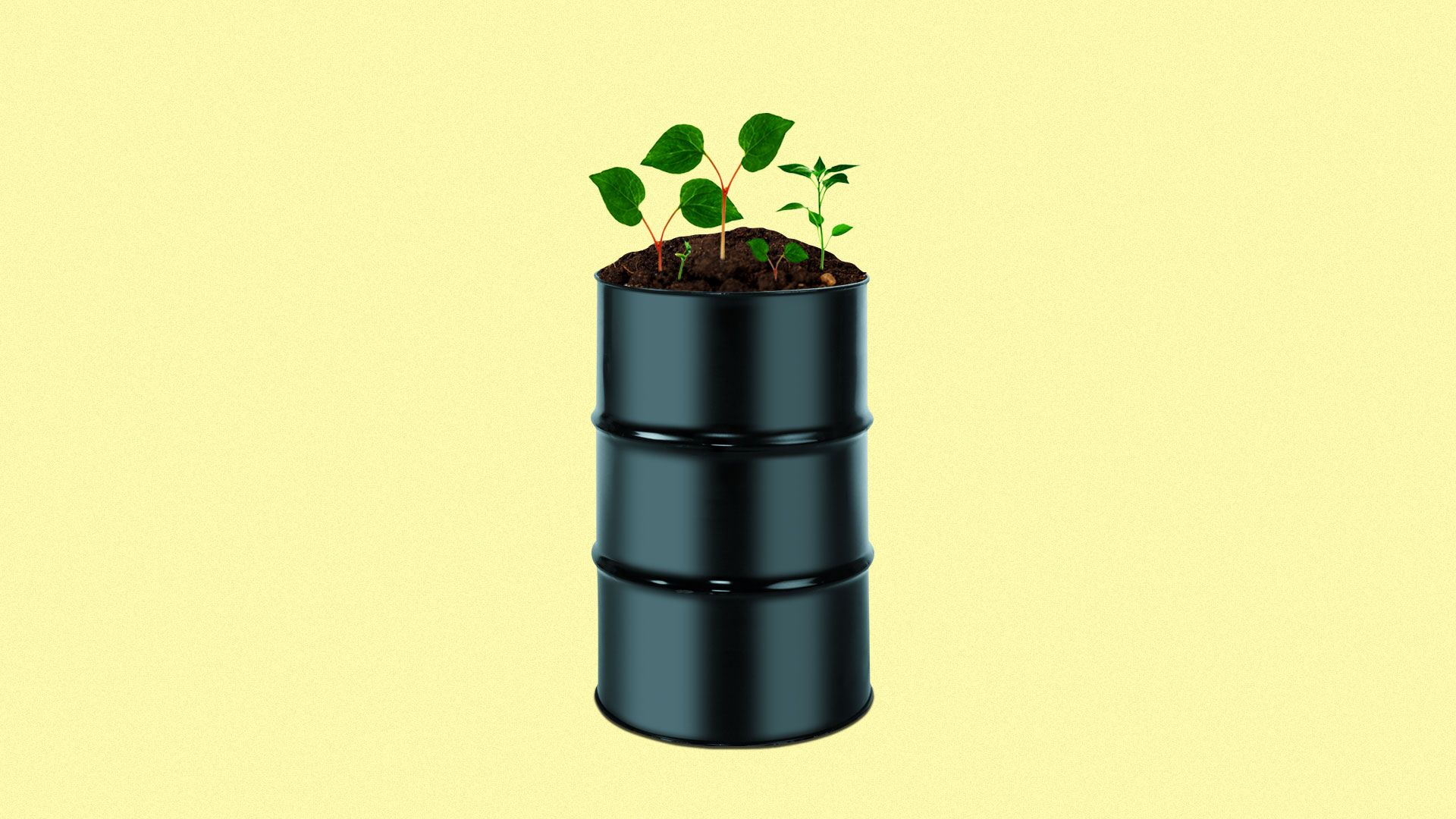 Illustration of oil barrel with plants growing on top of lid.