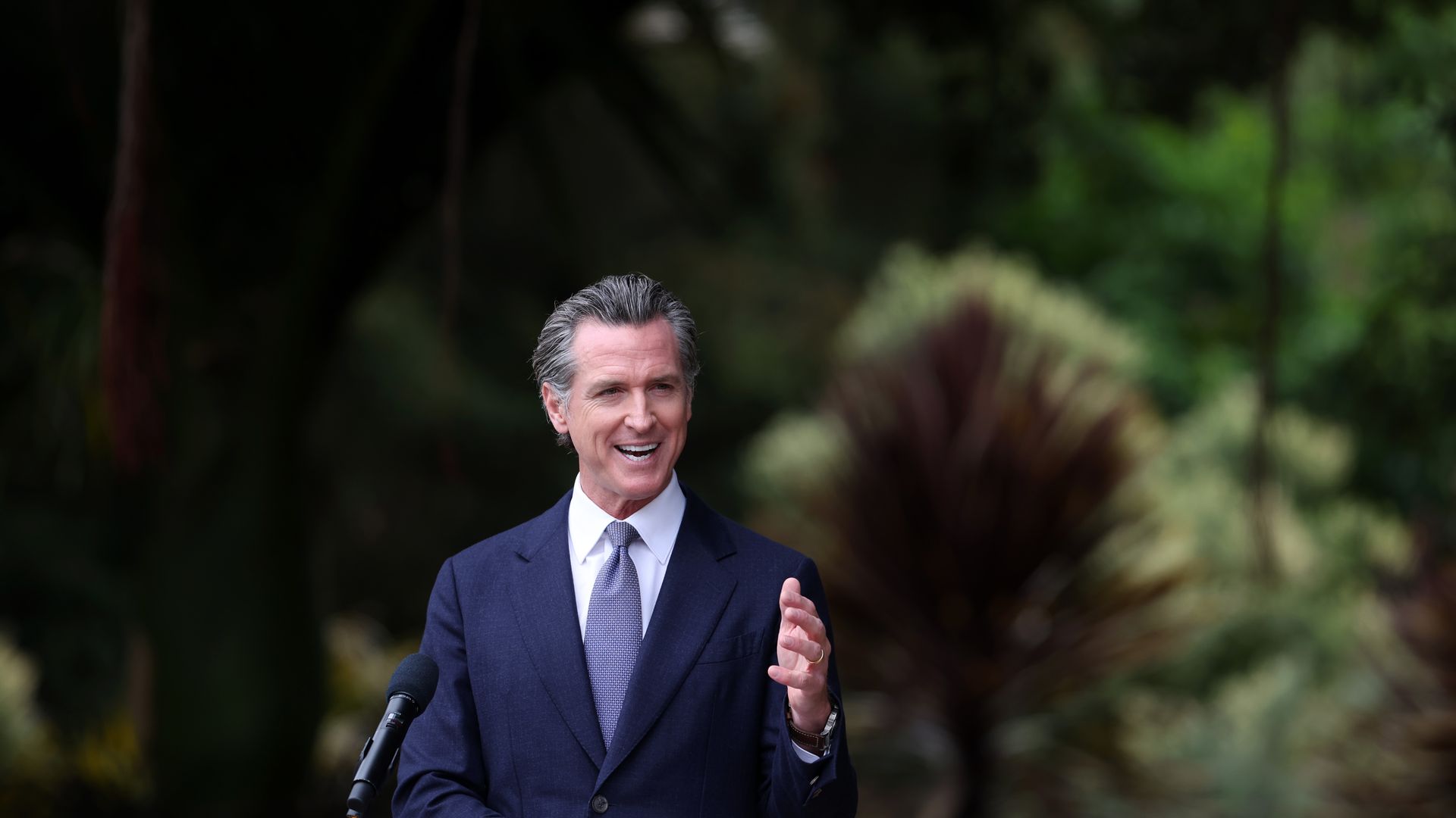 Photo of Gavin Newsom speaking from a podium