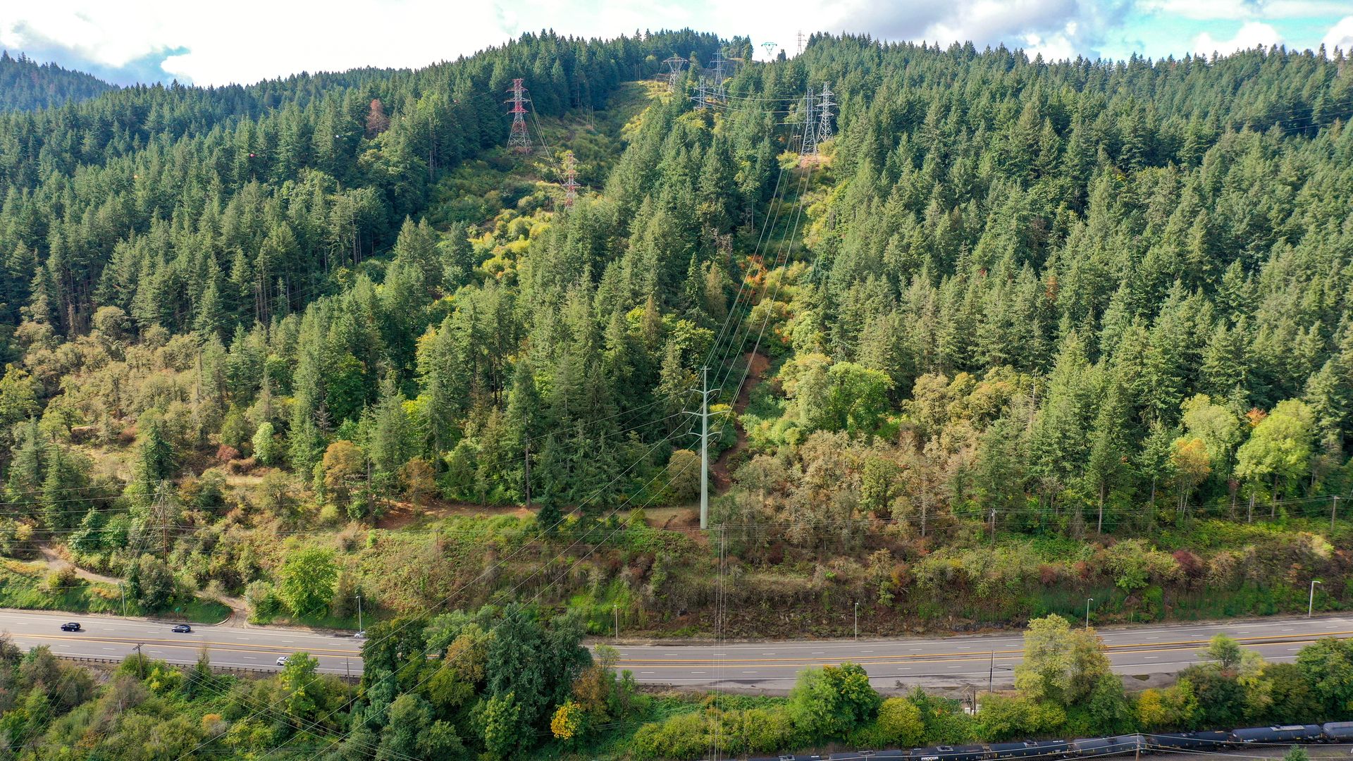 Panoramic view of a forested hillside with dense evergreen trees, tall transmission towers and power lines crossing the slope; a multi-lane highway runs along the bottom.