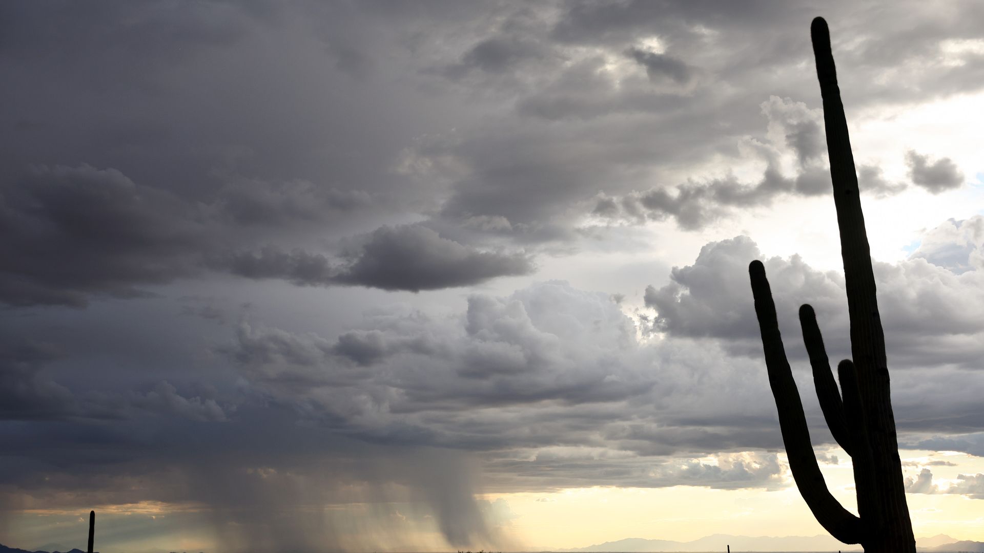 A cloud sky with rain pouring down in the distance; a silhouette of a large saguaro cactus sits in the foreground on the right side of the photo. 
