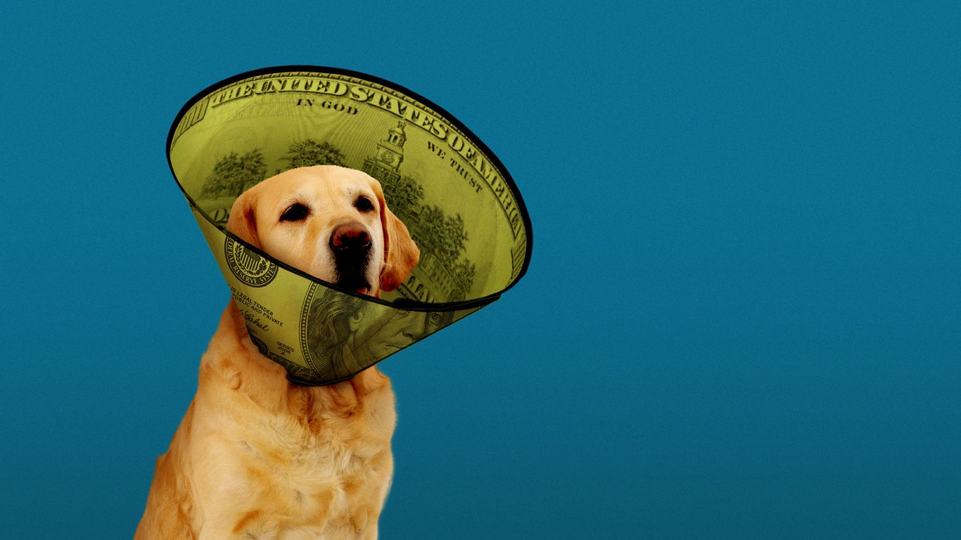 The cost of pet parenting is soaring