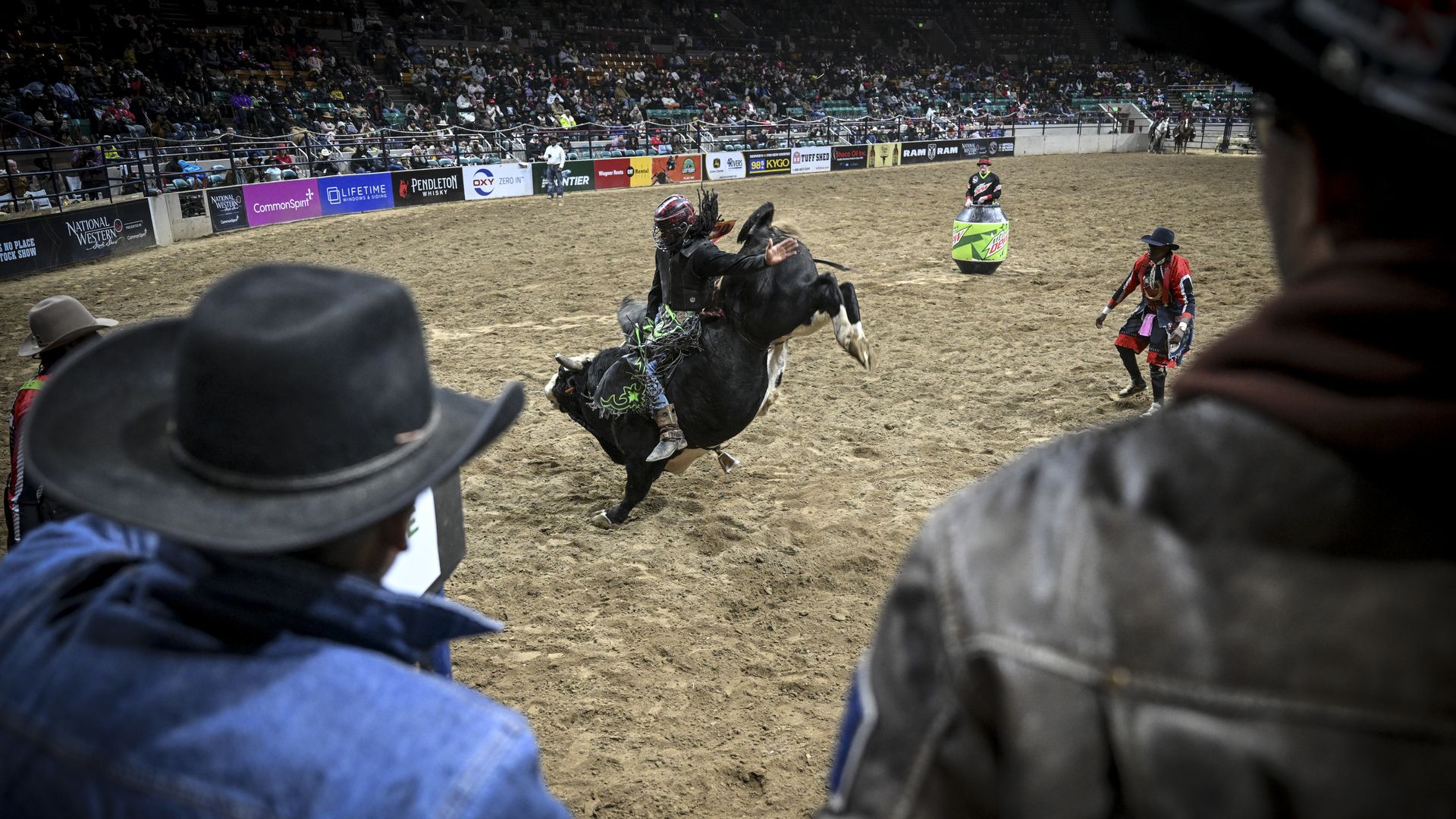 Bull Riding Colorado Five things to do in Denver this weekend - Axios Denver