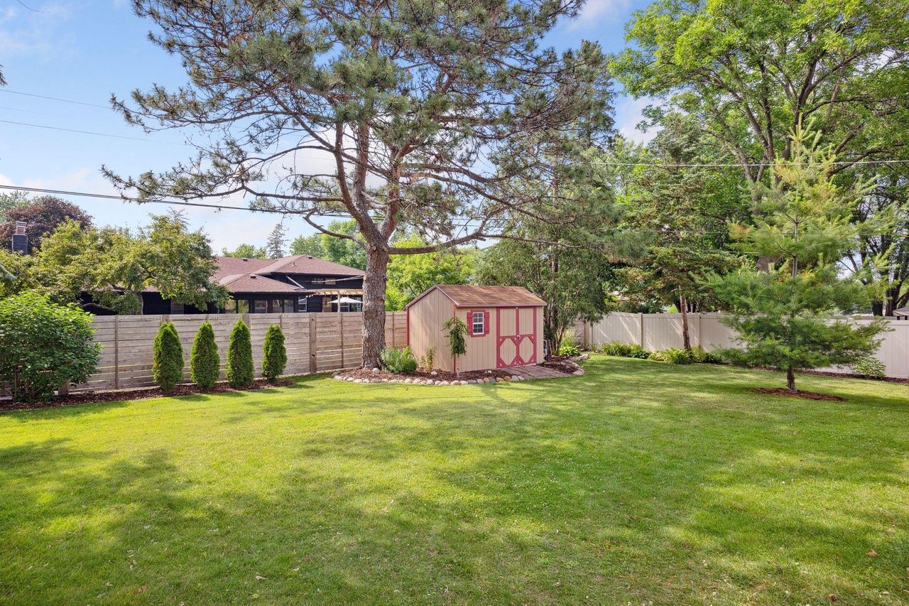 lush green backyard with shed and trees