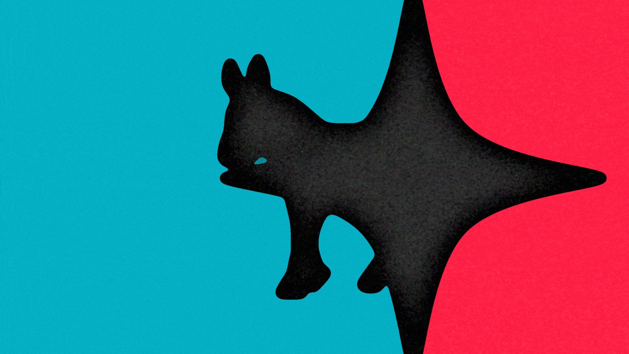 Animated illustration of a sparkle shape moving back and forth between red and blue backgrounds, revealing a Democrat donkey logo on the left, blue side, and a Republican elephant logo on the red, right side.