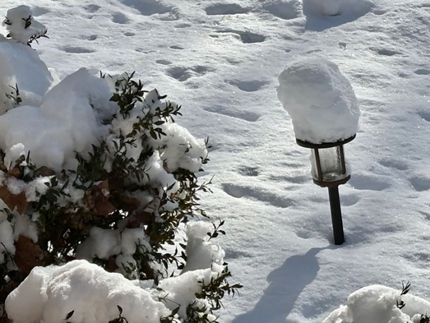 Snow-covered bush and a garden lamp with a thick snow cap casting a shadow on a snow-blanketed ground in bright daylight.