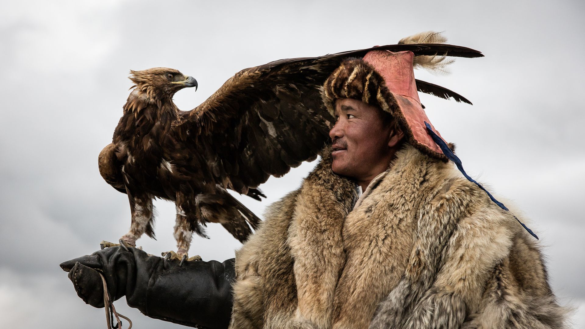 Eagles form a close bond with their hunters during training in Altai Mountain Range, Mongolia.