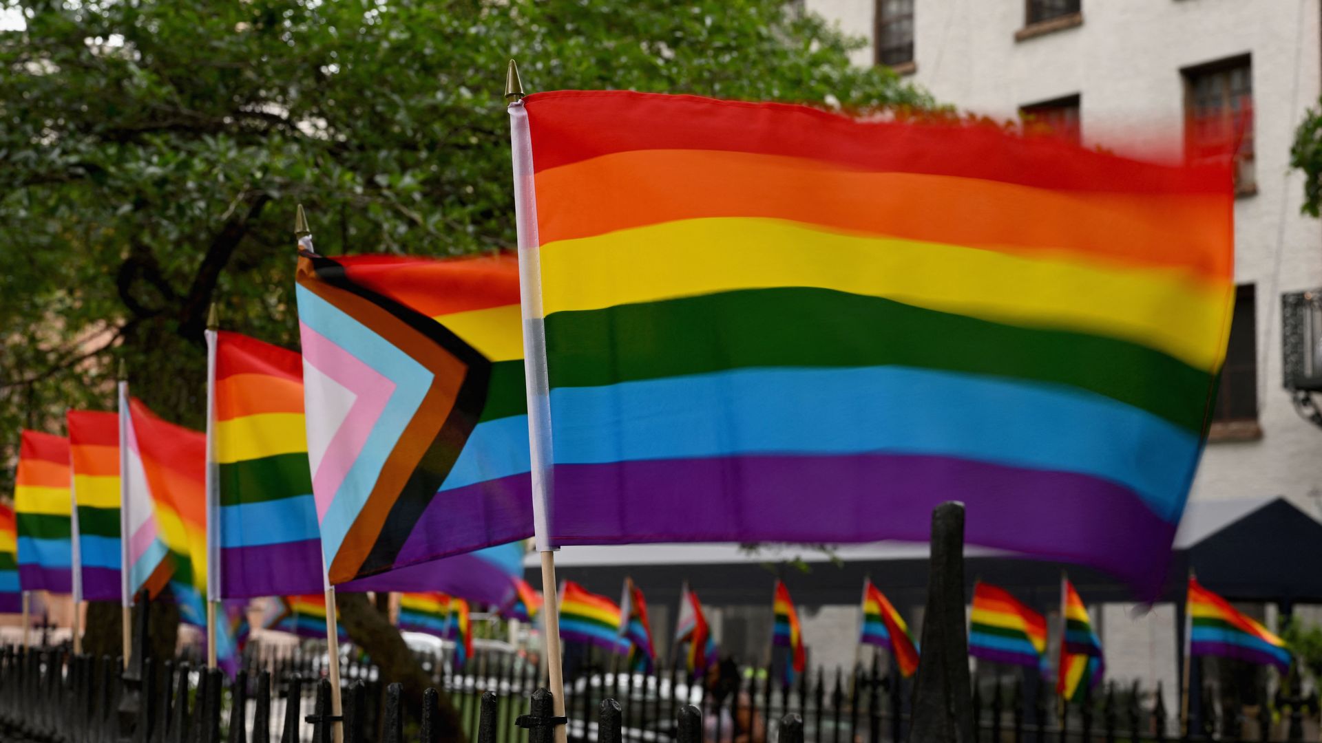Photo of rainbow pride flags lined up along a black fence