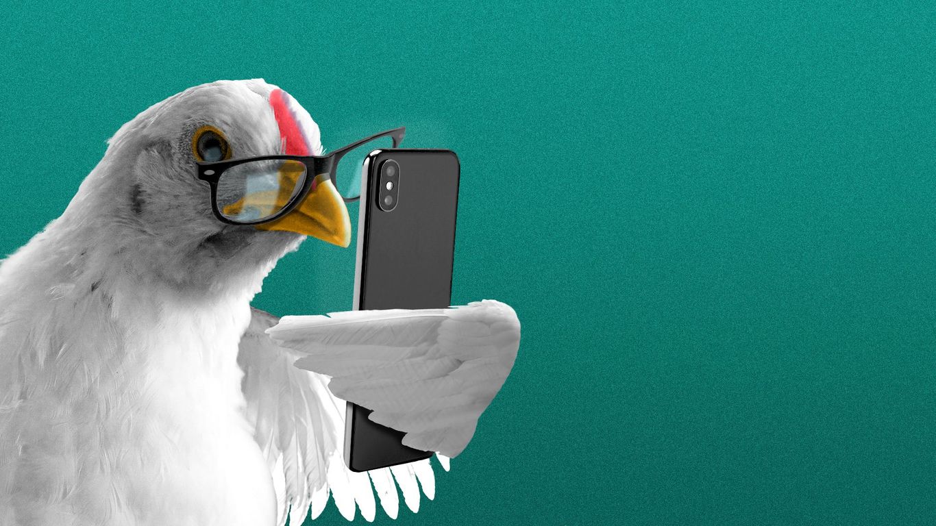 Kitchen Sink: Plucked news